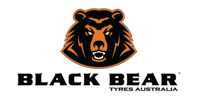 Black Bear